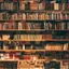 Library shelves filled with books in warm brown tones