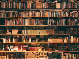 Library shelves filled with books in warm brown tones